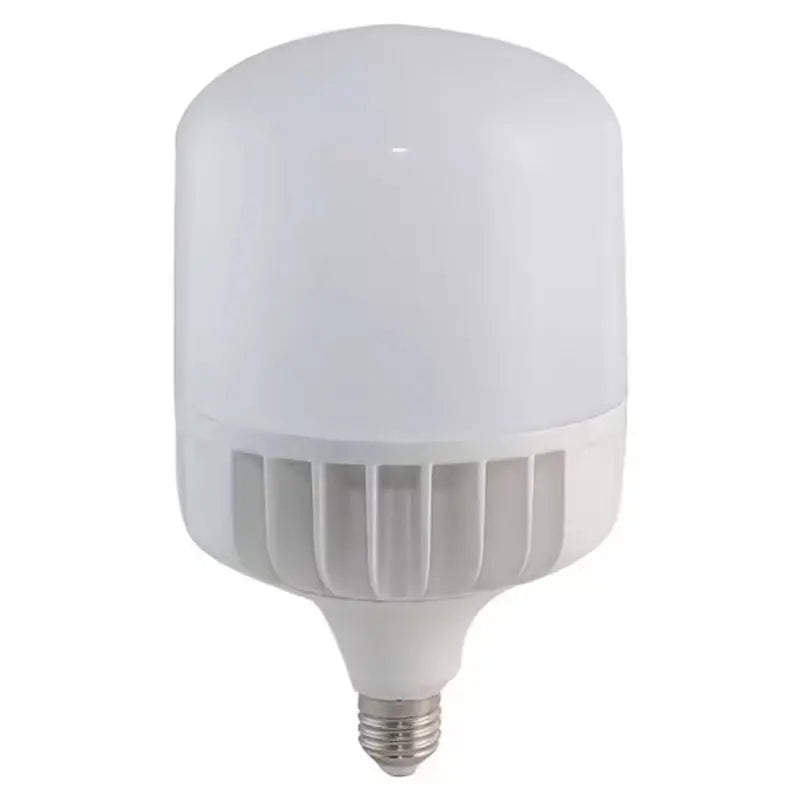 LED INDUSTRIAL LIGHT BULB TYPE T1