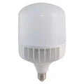 LED INDUSTRIAL LIGHT BULB TYPE T1
