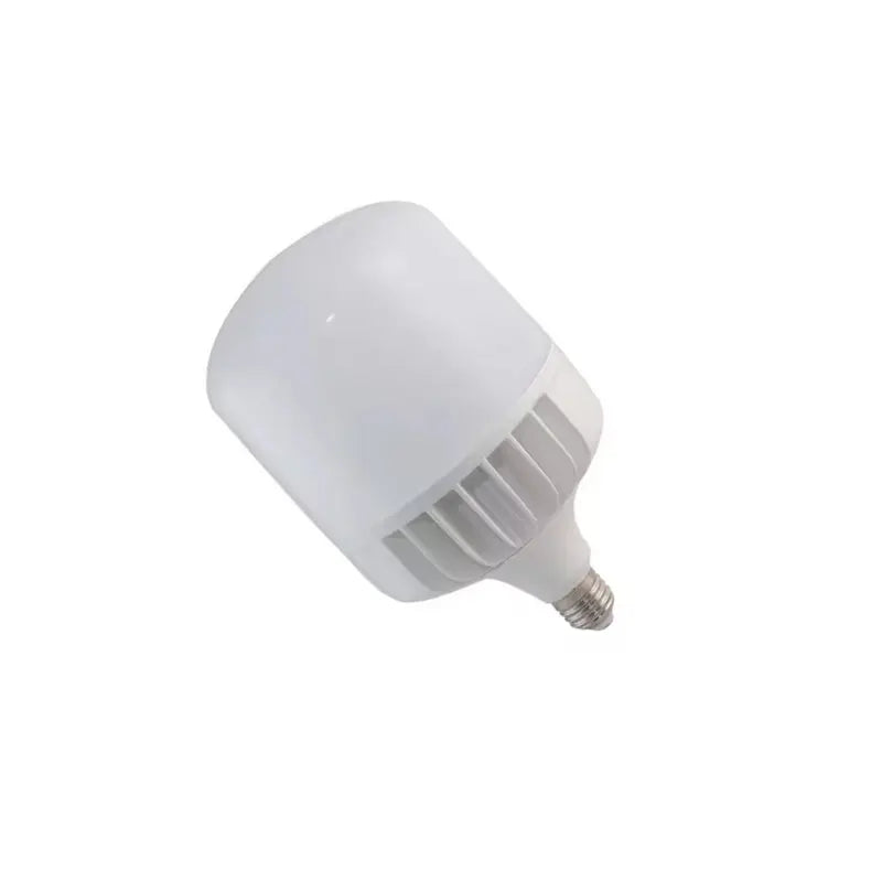 LED INDUSTRIAL LIGHT BULB TYPE T1