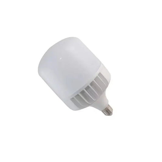LED INDUSTRIAL LIGHT BULB TYPE T1