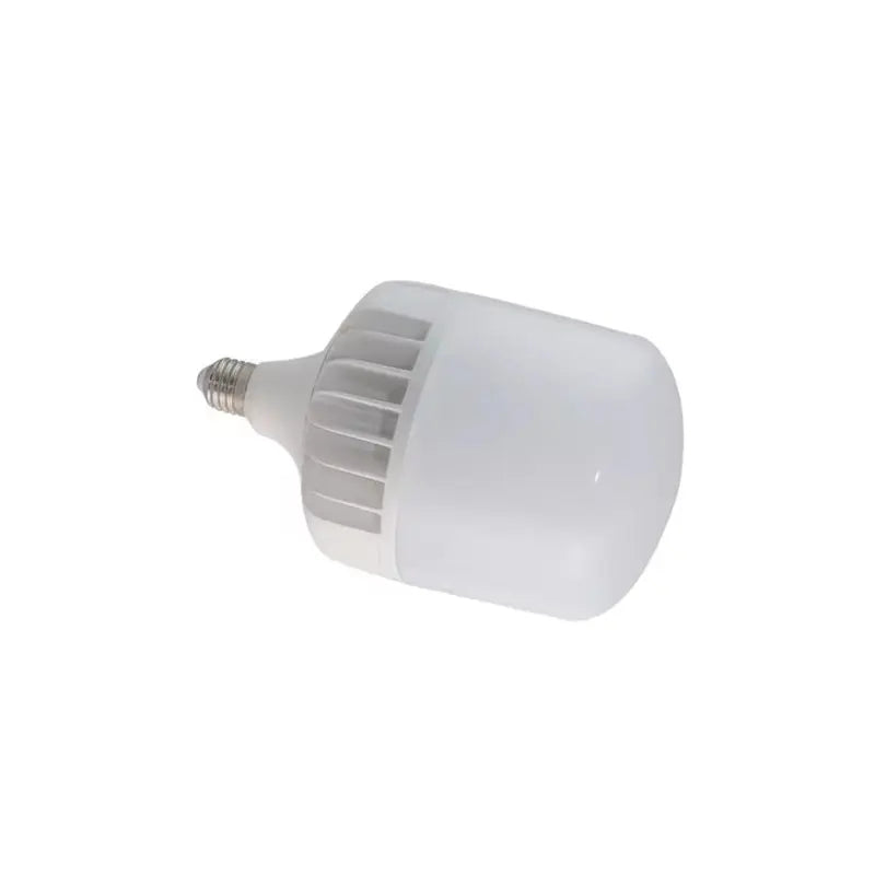 LED INDUSTRIAL LIGHT BULB TYPE T1