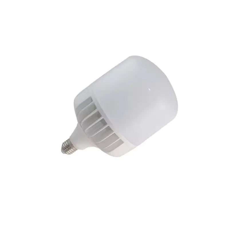 LED INDUSTRIAL LIGHT BULB TYPE T1